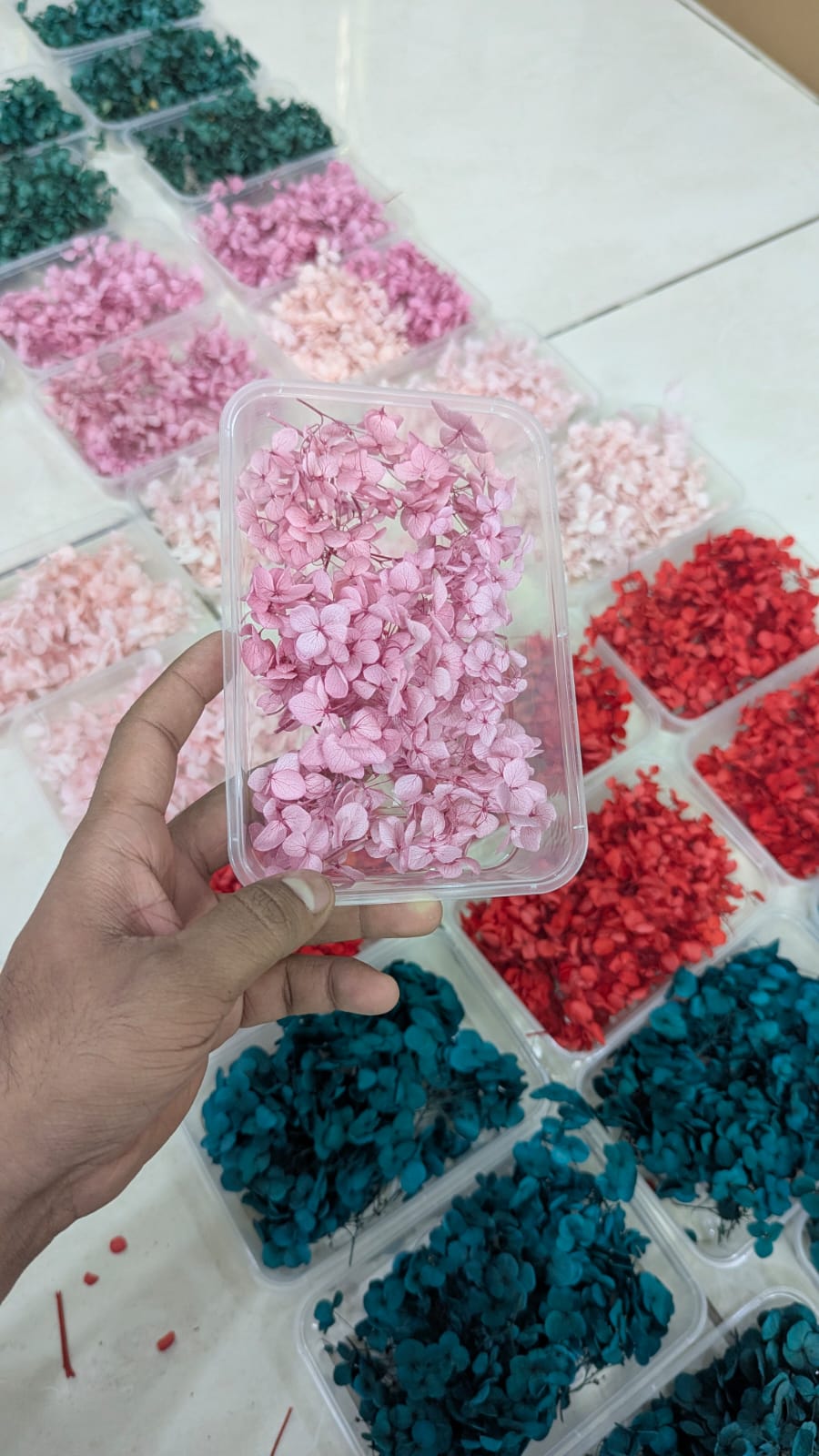 Imported Dry Baby Pink Hydrangea Flower box