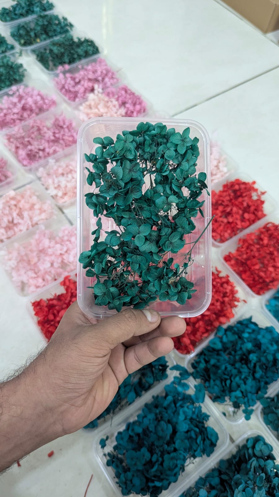 Dark Green Imported Dry Hydrangea Flower Box
