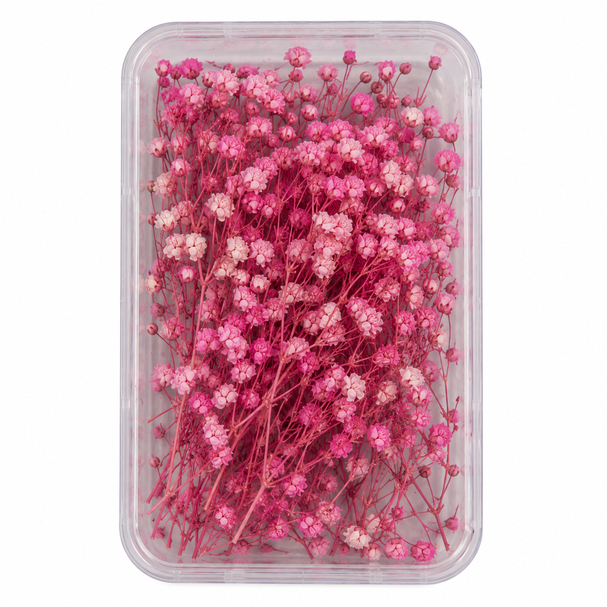 Pink Dried Baby Breath Flower box For Cake Decoration