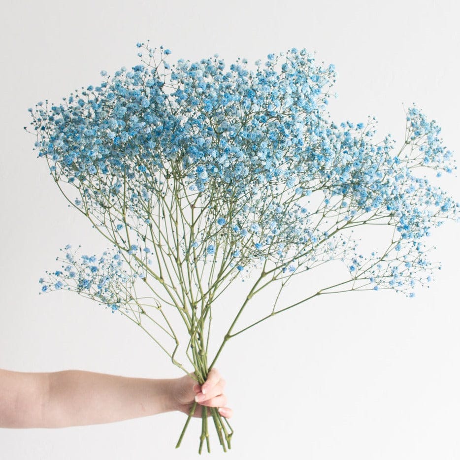 Light Blue Baby Breath One Stick
