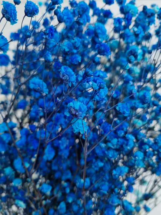 Dark Blue Baby Breath One Stick
