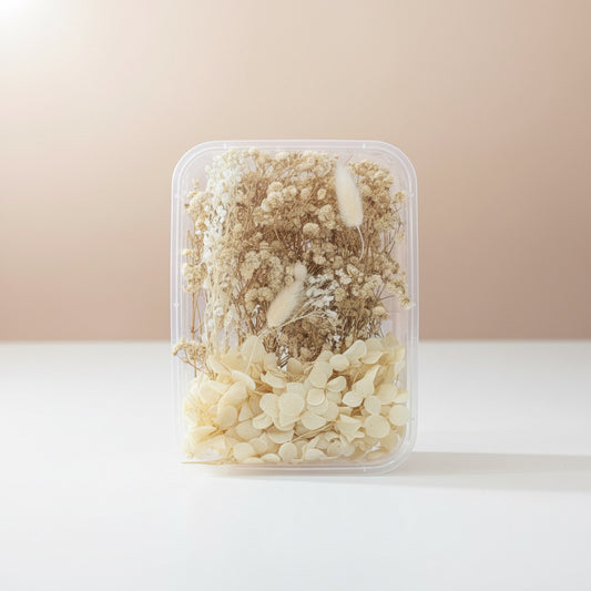Imported White Dry Flower Box
