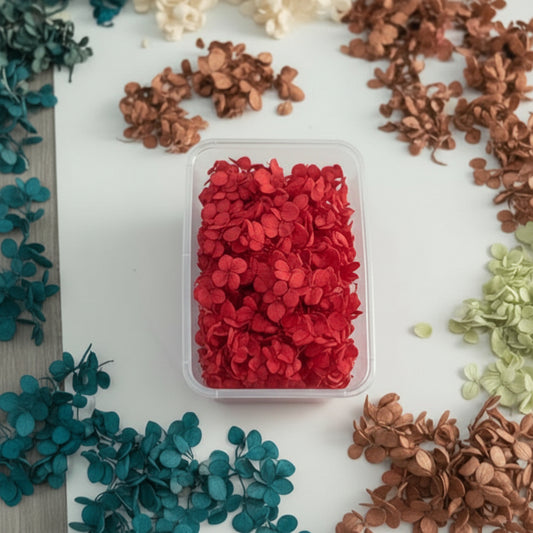 Imported Dry Red Hydrangea Flowers Box