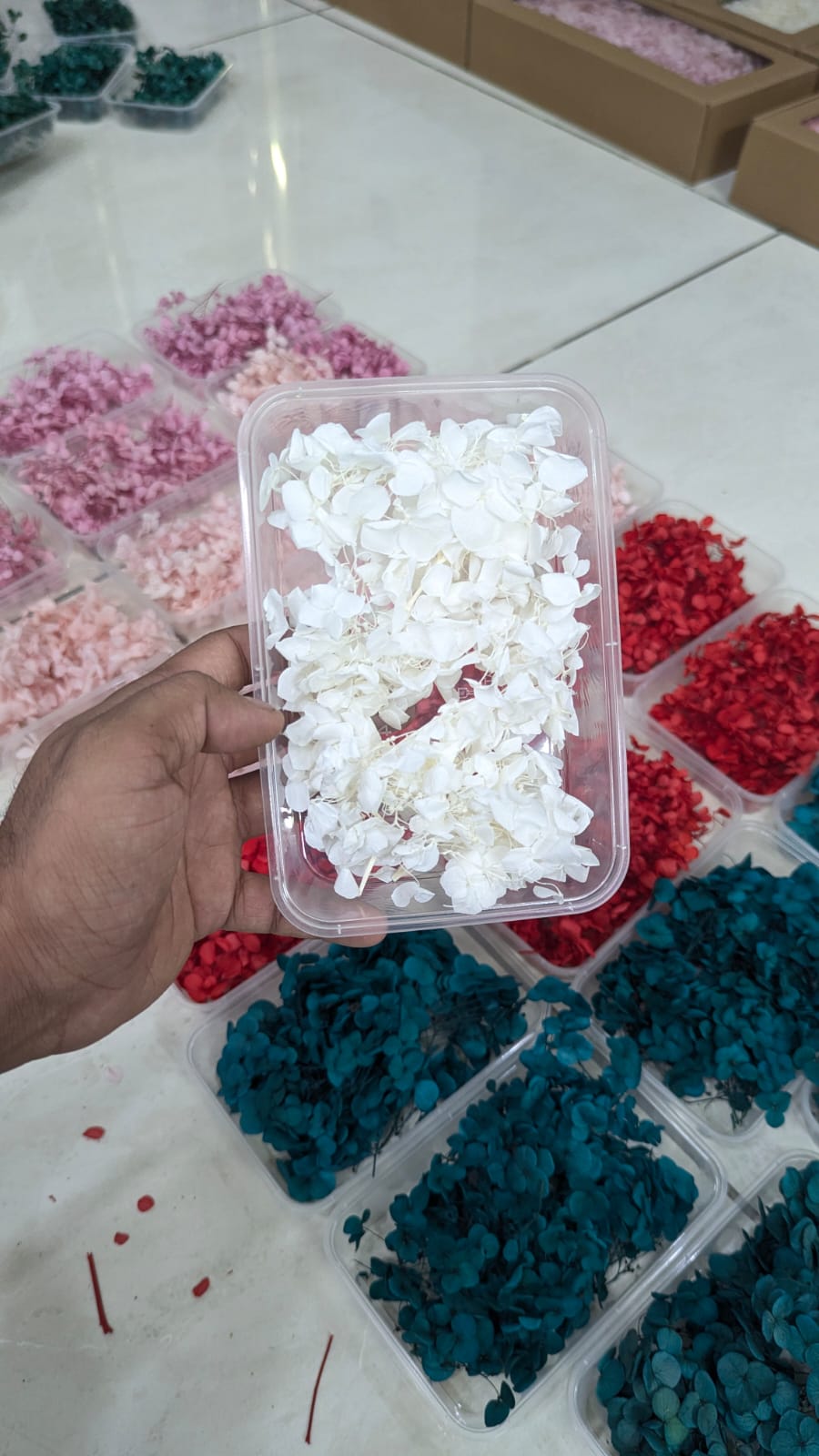 Imported White Dry Hydrangea Flower Box