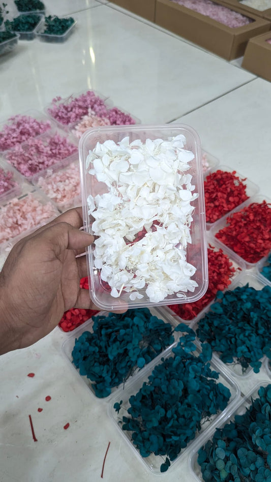 Imported White Dry Hydrangea Flower Box