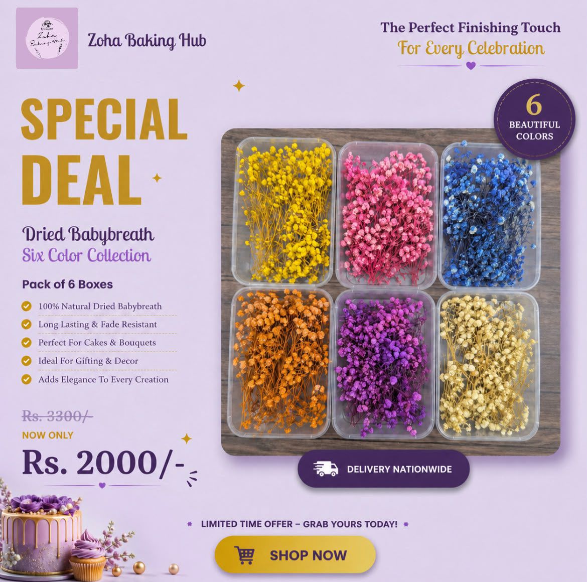 Dried Babybreath 6 Color Deal