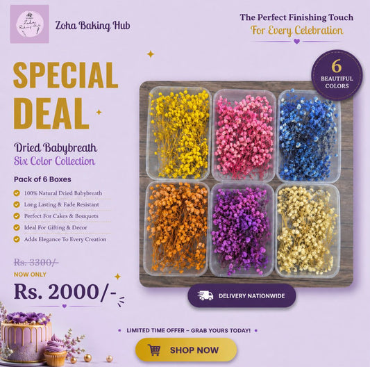 Dried Babybreath 6 Color Deal