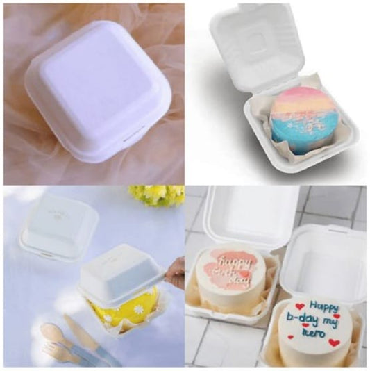 Disposable Bento Cake Box 10pcs