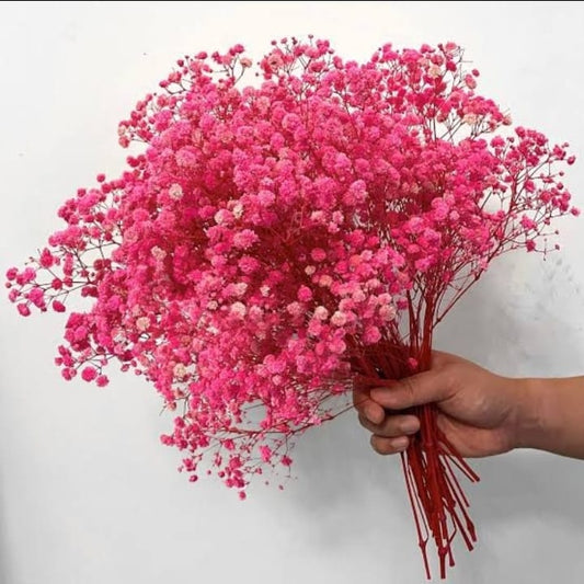 Pink Dried Baby Breath (Big Bunch)