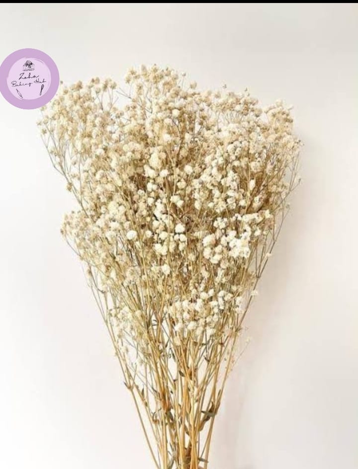 Bouquet of dried flowers with a white background