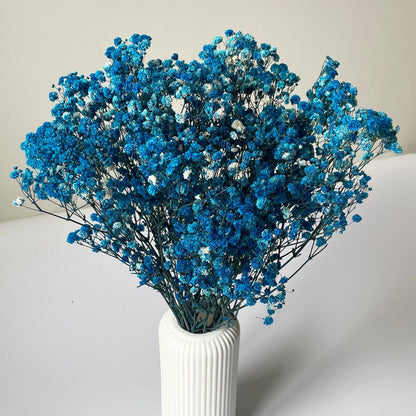 Dark Blue Baby Breath One Stick