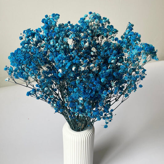 Dark Blue Baby Breath One Stick