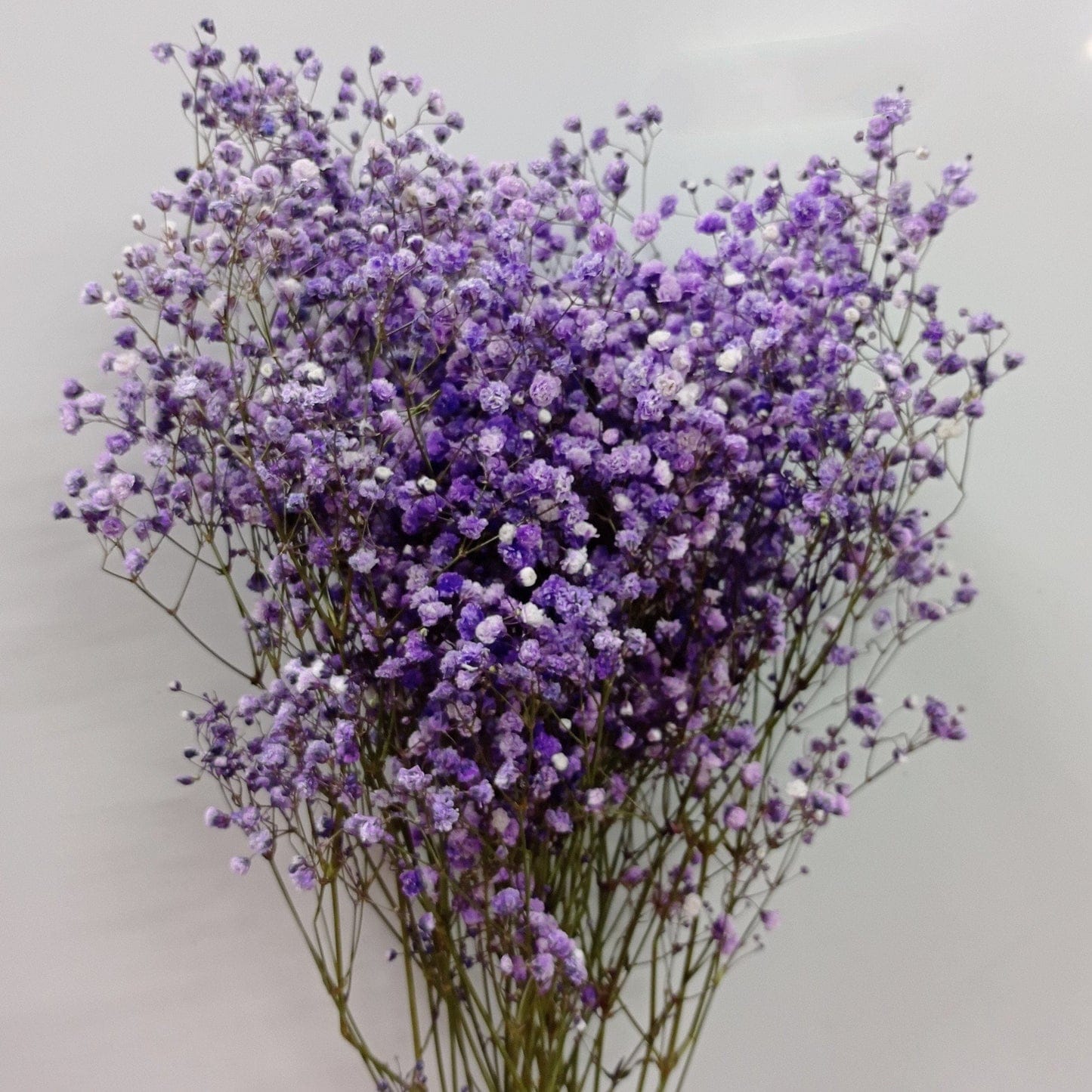 Purple Baby Breath One Stick