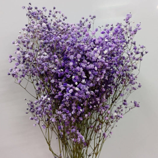 Purple Baby Breath One Stick