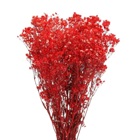 Red Imported Dried Baby Breath Big Bunch