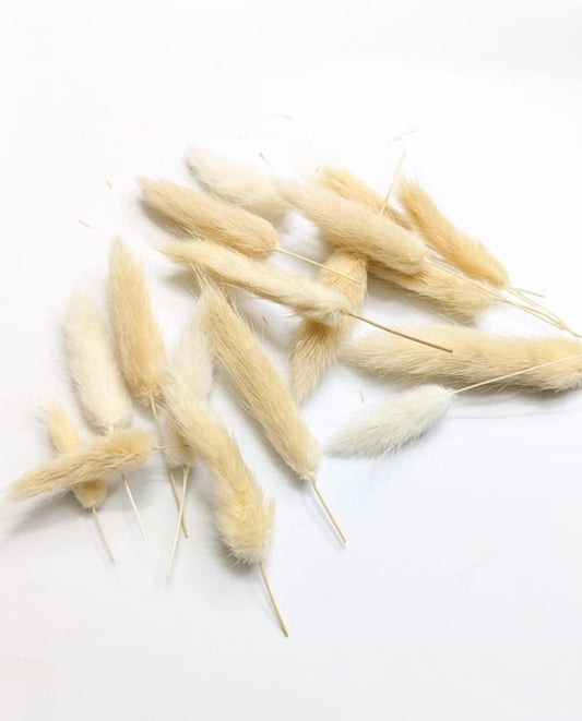 Imported Bunny Tail Big stick