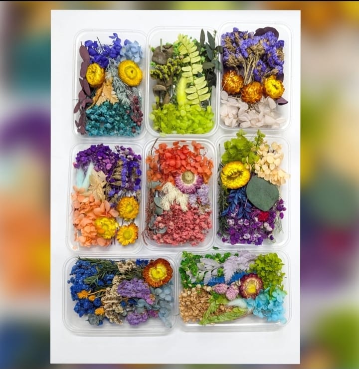 Imported Dried Flowers Box Mix