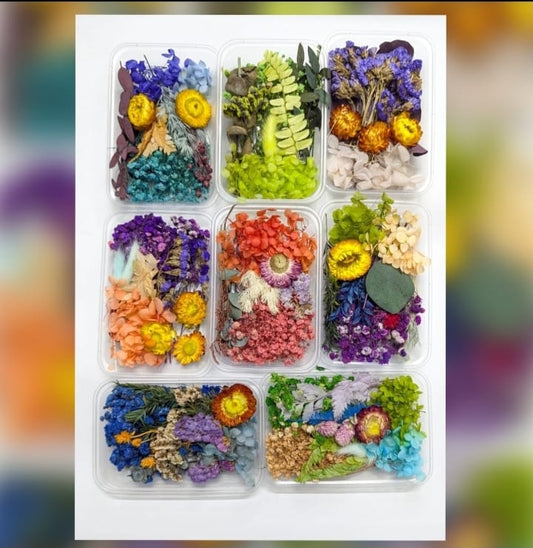 Imported Dried Flowers Box Mix