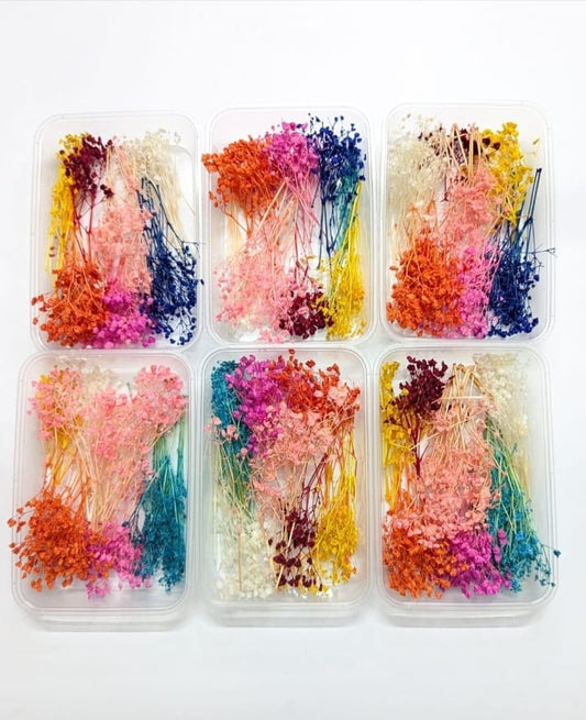 Imported Multi Colors Dried Baby Breath
